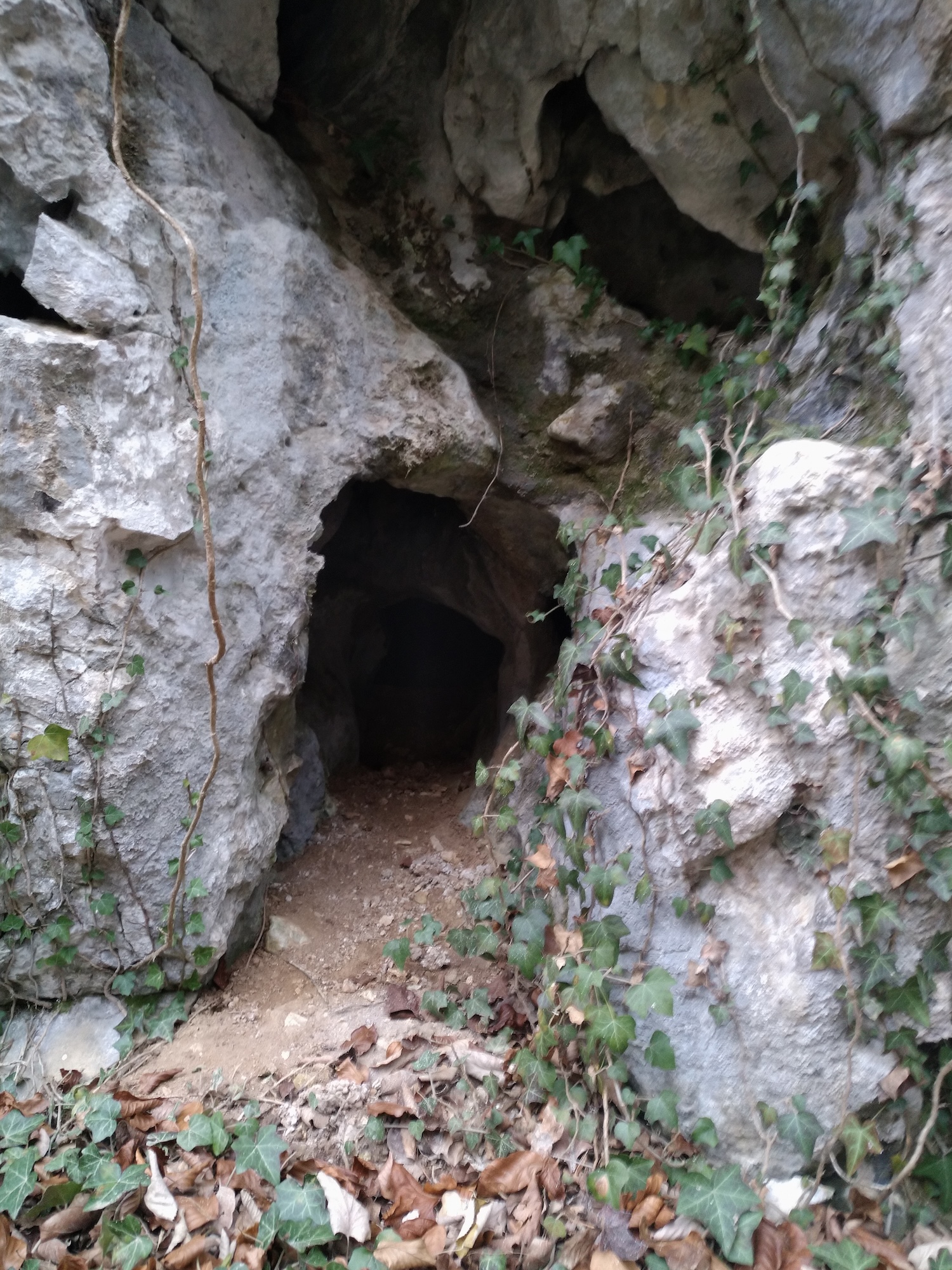 Peștera din Stâncă - Image 4